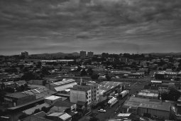 _dsc6252-1silv 10